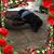 Kathryn L Castell-Blanch's profile image