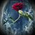 Sara Warpness's profile image