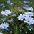 Joyce An Harold Nugent's profile image