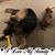 Lori Oerlline's profile image