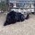 Debbie Greathouse's profile image