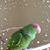 Denise Stoker's profile image