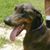 Sharron Ann Hall Schumacher's profile image