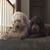 Maryellen Guenther's profile image