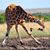 Mary Napping Bear Hempel's profile image