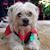 Susan Elias's profile image