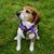 Linda Perrotto's profile image