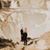 Doug Draughan's profile image