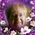 Carol Meyer Russo's profile image