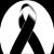 Silvia Perez's profile image