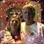 Julie Frisby Swearingen's profile image