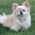 Buffy Brown's profile image