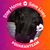 Phyllis Ward Salmon's profile image