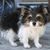 Judy Herda Zaskowski's profile image
