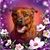 Karen Kelly Calabrese's profile image
