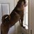 Ken Diehl II's profile image