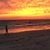 Laura Whiston Marzec's profile image