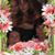 Patricia Morrissey's profile image