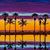 Tammy Holshue's profile image