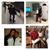 Rosa Maria Nuñez's profile image