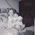 Laura Pointon's profile image