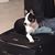 Sandi Samford Geerts's profile image