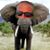 Andrew Gray's profile image