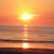 Rose Pilch's profile image
