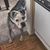 Trudi E. Crookshanks's profile image