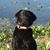 Zeb Pomerenke's profile image