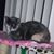 Holly Drass's profile image