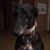 Wally Lacey's profile image