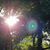 Susan Lacy's profile image