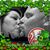 Jimmy Red's profile image