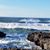 Deborah Meloy's profile image