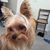 Effie Getz's profile image
