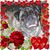 Tammy Mirra's profile image