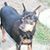 Joann Ilgenfritz's profile image