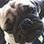 Connie Littleton's profile image