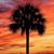 Susan OLeary's profile image