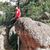 Angel Zaem Gonzalez Morales's profile image