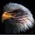 Ed Caldwell's profile image