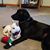 Cindy Robson's profile image
