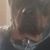 Marc Bryant's profile image