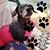 MaryAnne Thompson's profile image