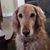 Kathy Forde's profile image
