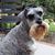 Jane Gammon's profile image