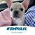 Valerie Snyder Reinsmith's profile image