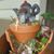 Tammy Templin Klein-Hindman's profile image