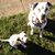 Jennifer Brown's profile image
